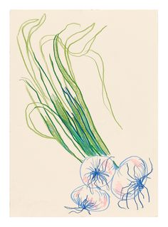 a drawing of onions with green stems