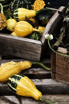 an assortment of gourds and squash are on display in wooden crates with flowers