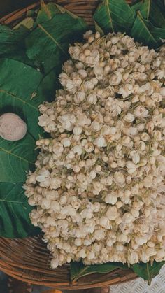 a basket filled with lots of white flowers next to green leaves and a small coin