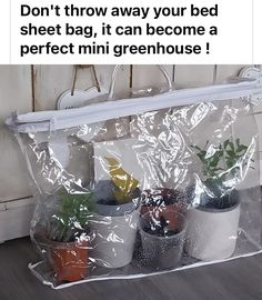 Mini Greenhouse, Bed Sheets, Canning