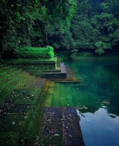 there are steps that lead to the water in this river and some trees around it