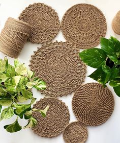 several pieces of jute rope are laid out next to some plants