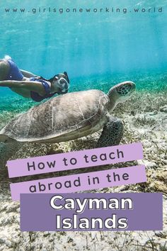 a woman swimming in the ocean next to a turtle with text overlay that reads how to teach about the cayman islands