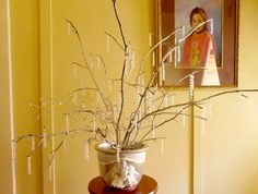 a potted plant sitting on top of a wooden table next to a framed photo