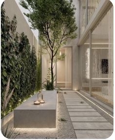 an outdoor courtyard with trees and plants on the walls, along with stone walkways