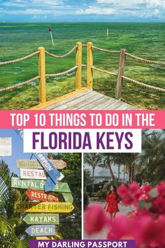 the top things to do in the florida keys