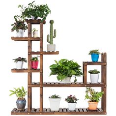 a wooden shelf filled with lots of potted plants