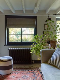 a living room with a radiator, couch and potted plant in it