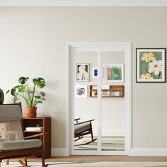 a living room filled with furniture and potted plants