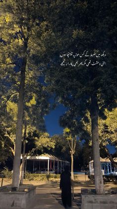 a man walking down a street next to tall trees with writing on it's sides