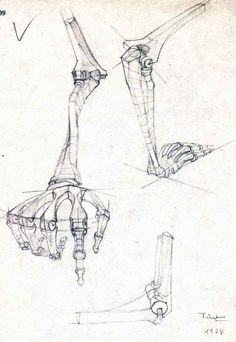 two drawings of hands and feet, one showing the lower half of the hand with three different angles