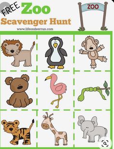 the zoo scavenger hunt with animals and birds