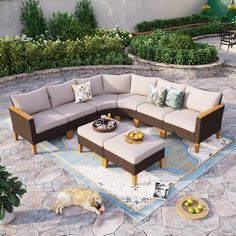 a dog laying on top of a rug next to a couch and table with pillows