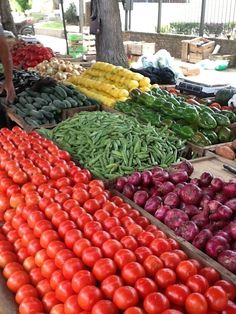 many different types of vegetables on display at an outdoor market