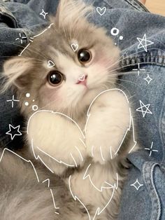 a kitten sitting on top of someone's jeans with hearts and stars drawn all over it