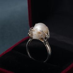 Skull Pearl, Dope Jewelry, Skull Carving, Funky Jewelry, Skull Ring, Fantasy Jewelry, Gothic Jewelry, Jewelry Inspo, Dream Jewelry