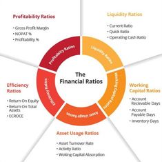 the financial ratio wheel with different types of options