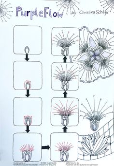 the diagram shows how to draw flowers