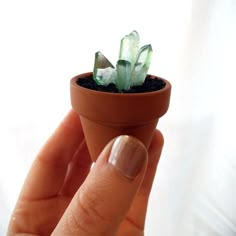 a hand holding a tiny potted plant with small rocks in it's center