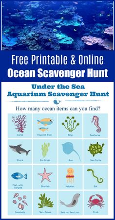 an ocean scavenger hunt with pictures of animals, fish and other marine creatures