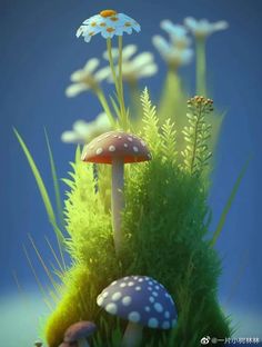 mushrooms and daisies in the grass with blue sky behind them, digital art photograph