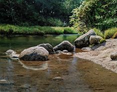 some rocks are in the water near grass and trees