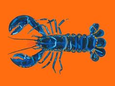 a blue lobster on an orange background with the word's name written below it