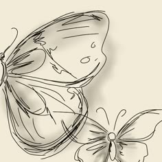 a black and white drawing of a butterfly next to another one with its wings spread