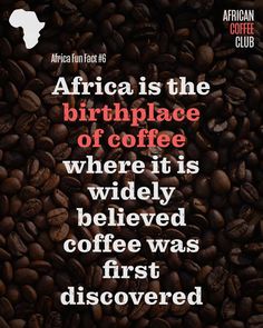 coffee beans with the words africa is the birth place of coffee where its widely beloved coffee was first discovered