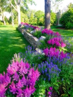 purple flowers are in the foreground and green grass on the other side, along with a stone bench