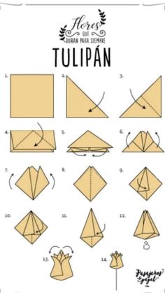 how to make an origami tulipan step by step instructions for beginners