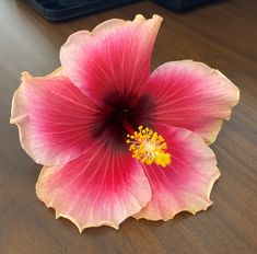 a pink flower sitting on top of a wooden table