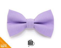 a purple bow tie on a white background