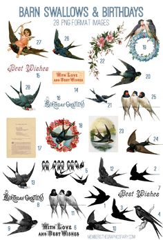 a bunch of birds that are flying in the air with words above them and numbers below