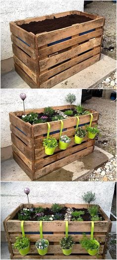 some wooden pallets with plants in them