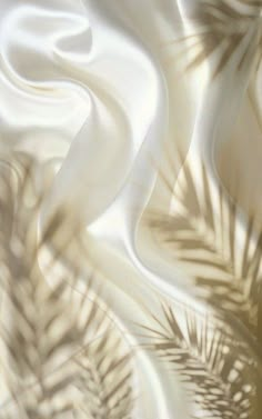 the shadow of palm leaves on a white silk fabric is seen in this image, which appears to be blurry