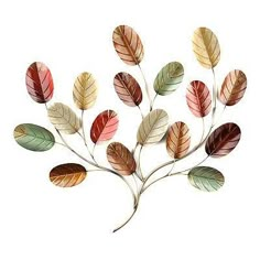 an arrangement of colorful leaves on a white background