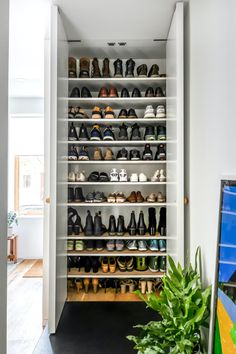 a shoe rack filled with lots of shoes next to a potted plant