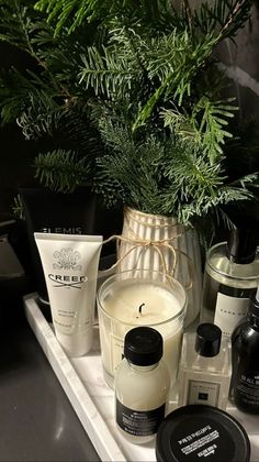 a white tray topped with lots of different types of skin care products next to a potted plant