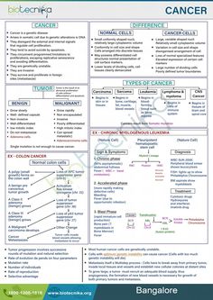 CANCER Med Lab Tech, Advanced Pathophysiology, Pathophysiology Nursing, Sat Tips, Medical Radiography, Vet Medicine, Medical Surgical Nursing