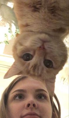 a woman standing next to a cat on top of her head in front of the camera