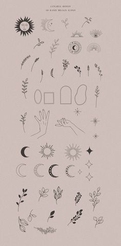 an image of the back side of a poster with flowers and moon designs on it