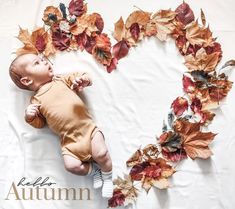 a baby laying in the shape of a heart with autumn leaves on it's back