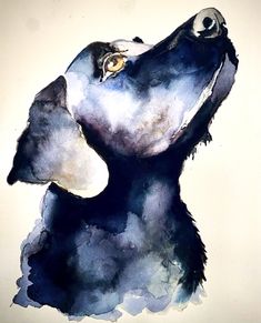 a watercolor painting of a dog's head looking up at something in the sky