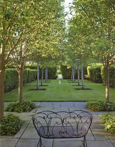 a bench sitting in the middle of a garden