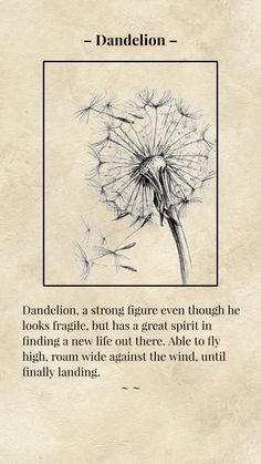 #flowers #Dandelions #dandelion #dandelionsflower #vintage Dandelion Tattoo Meaning, Dandelion Quotes, Easy Drawing Step By Step, Dandelion Drawing, Beautiful Pencil Drawings, Animal Tattoo Ideas, Dandelion Art, Dandelion Tattoo, Easy Drawing Steps