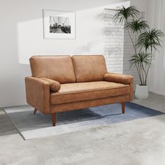 a brown leather couch sitting on top of a rug in a living room next to a potted plant