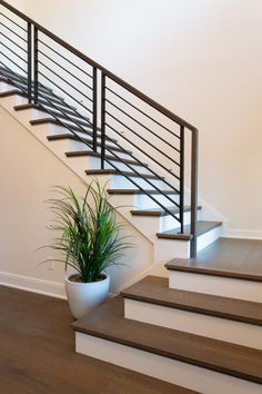 a potted plant sitting on top of some steps next to a bannister