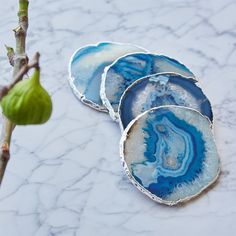 three blue and white plates sitting on top of a table next to a tree branch