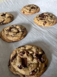 chocolate chip cookies on a baking sheet ready to be baked in the oven for consumption